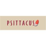 Header Board: Psittacus Brand 1000x300mm QLHPS001