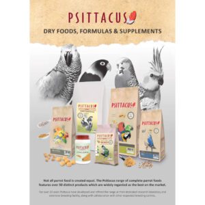 A3 Poster: Psittacus