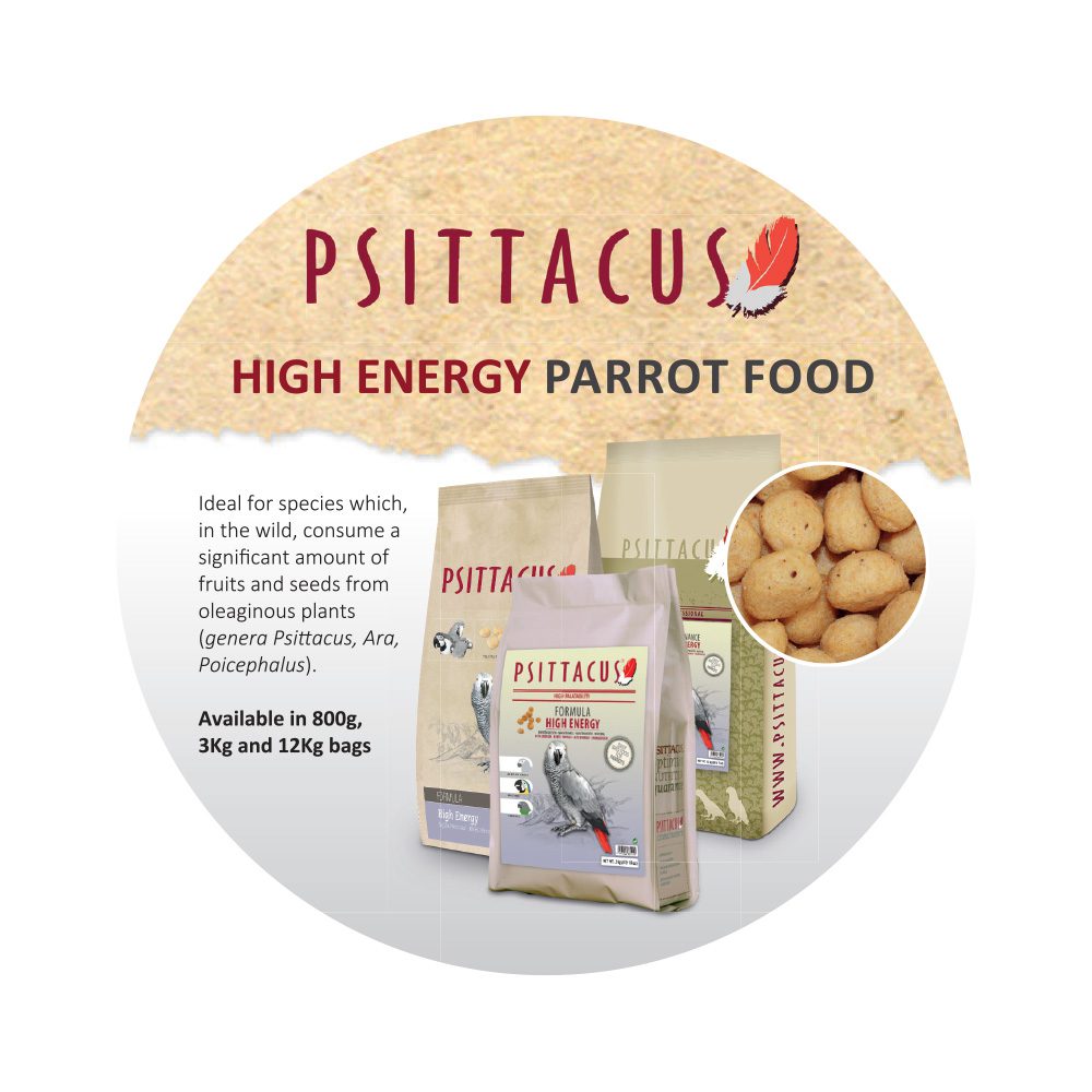 Wobbler- Psittacus High Energy
