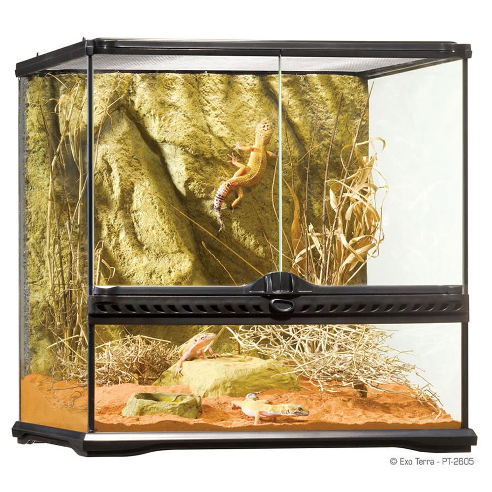 ET Terrarium Sml/Wide 45x45x45cm, PT2605 (H)