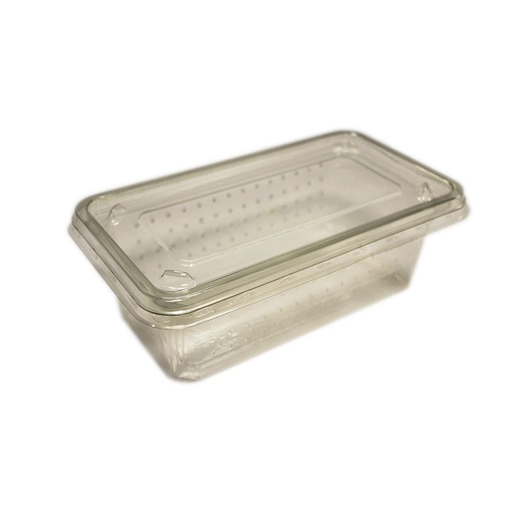 PL Cricket Tub/Lid, Vent Holes,  pack 10