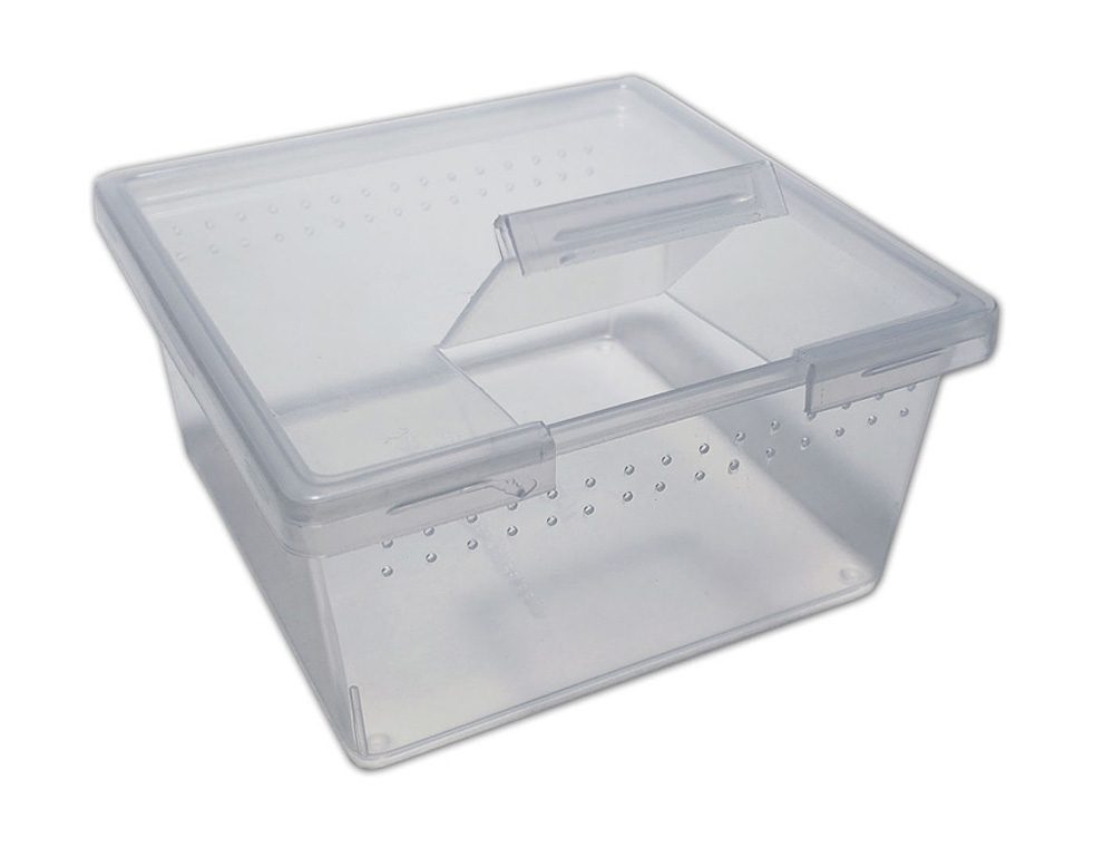 PL Square Container w/Flip Lid 7oz x 25