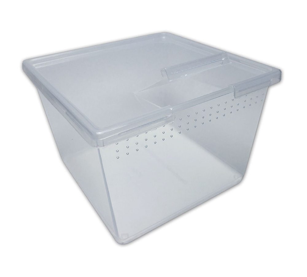 PL Square Container w/Flip Lid 24oz x 25