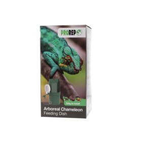 PR Arboreal Chameleon Feeding Dish