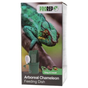 PR Arboreal Chameleon Feeding Dish
