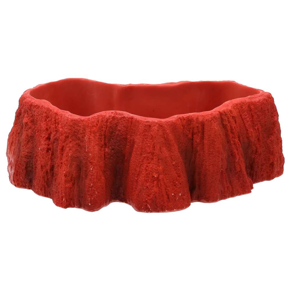PR Beardie Billabong Pool Small 180x130x53mm