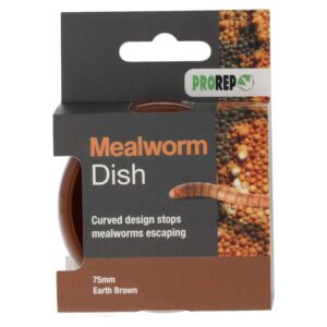 PR Mealworm Dish Earth Brown 75mm, WPM001
