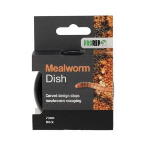 PR Mealworm Dish Black 75mm, WPM004