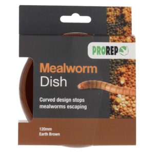 PR Mealworm Dish XL Earth Brown 120mm, WPM011