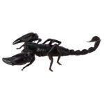 WC Asian Forest Scorpion (5-7cm)