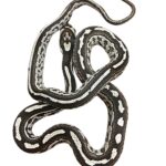 CB25 Anery Tessera Corn Snake