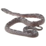 CB25 Cinder Sunkissed Corn Snake