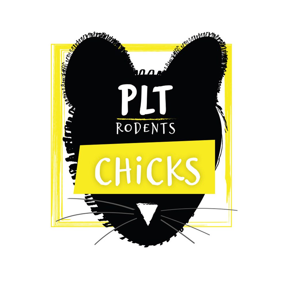 PLT Frozen Chicks 25 pack