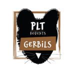 PLT Frozen Gerbils 50g+ 10 Pack