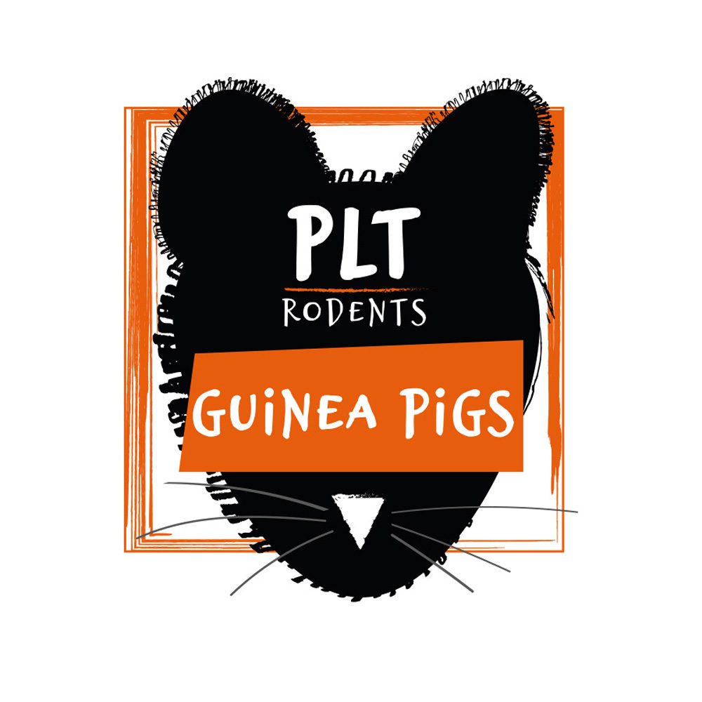 PLT Frozen Guinea Pig 200g+