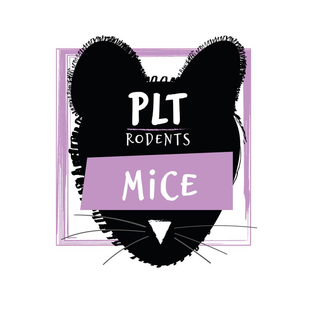 PLT Frozen Mice Medium 19g+ 10 Pack