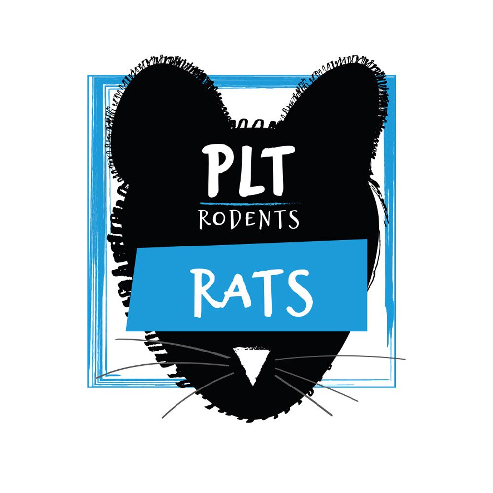 PLT Frozen Rat Large 250g+ 5 Pack